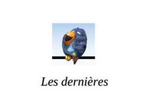 Birds les dernieres